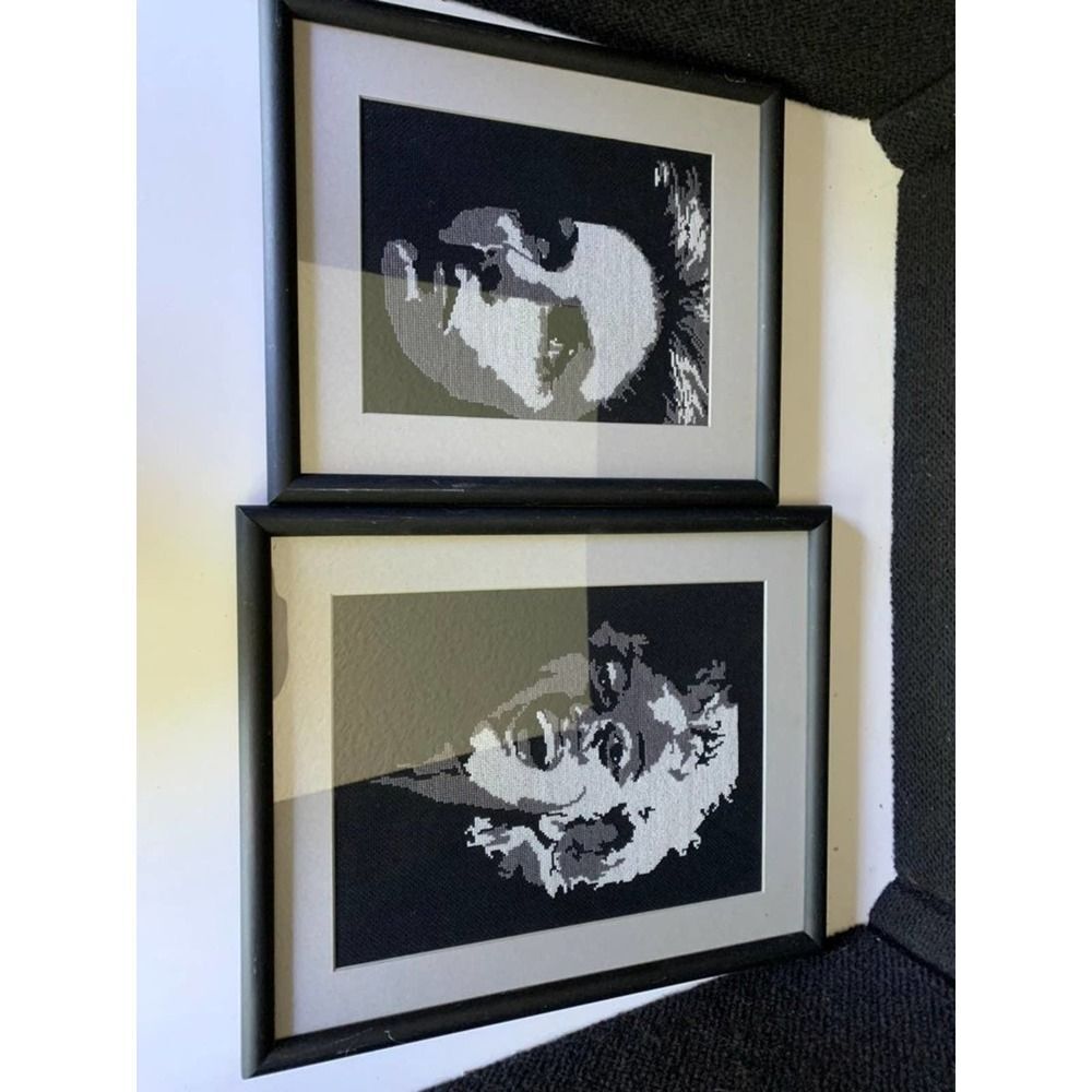 Framed cross stitch womens faces